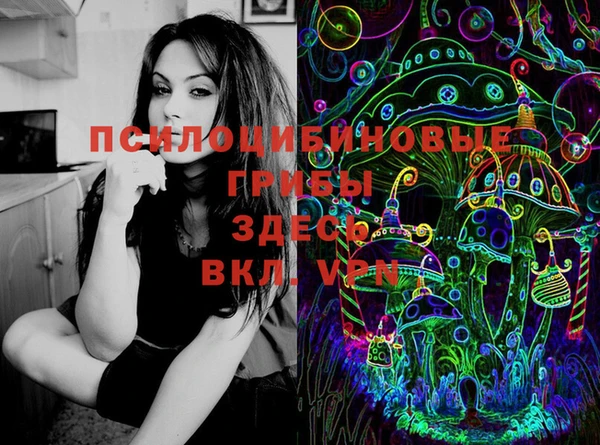 хмурый Верхний Тагил