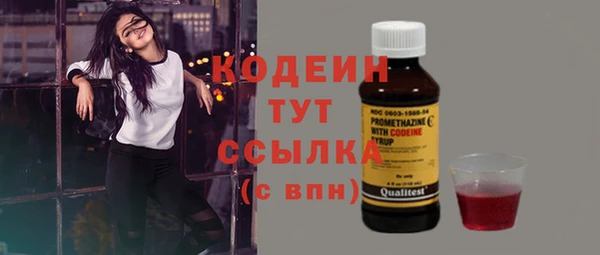хмурый Верхний Тагил