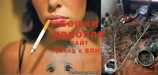 прущие крисы Верея