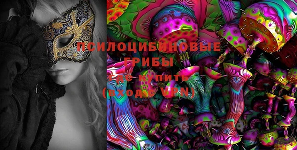 прущие крисы Верея
