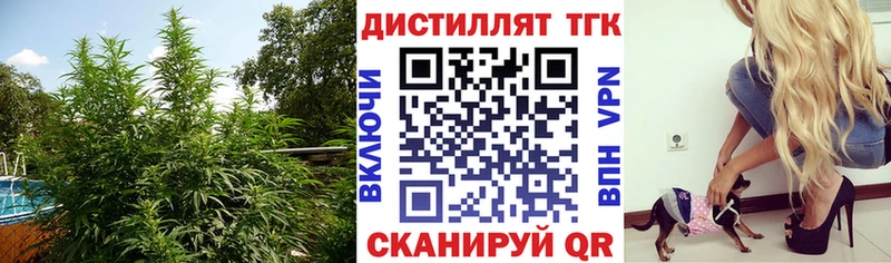 ТГК вейп с тгк наркотики Волгодонск
