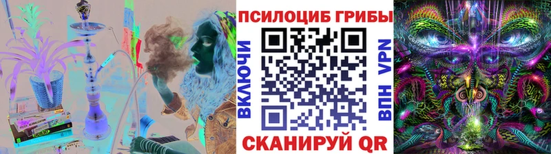 MEGA ссылка  где купить наркотик  Волгодонск  Псилоцибиновые грибы Psilocybine cubensis 